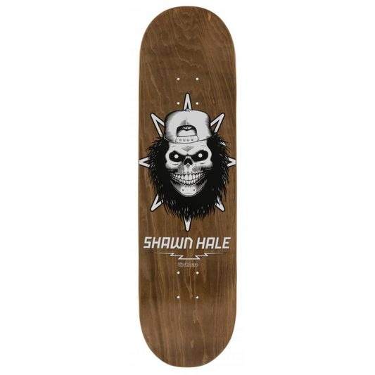 Planche Birdhouse Hale Skull Brown 8.5"